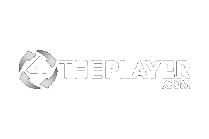 4 The Player